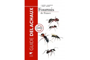 Fourmis de France - 100 espèces décrites
